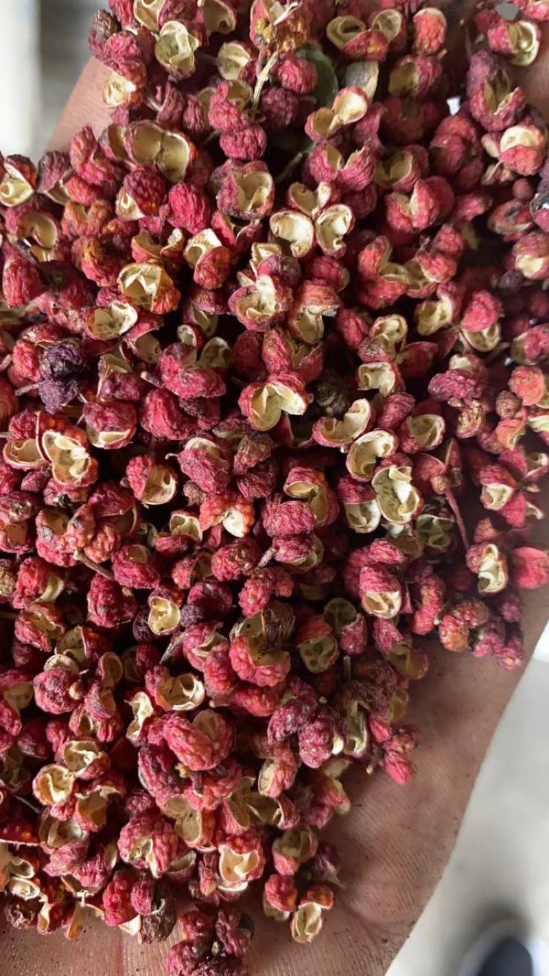 陕西富平花椒，颗粒大，颜色好，味道麻