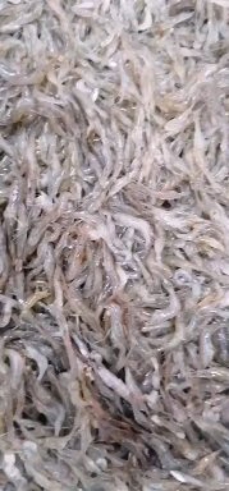 河虾，河虾，鲜活河虾，河虾，河虾