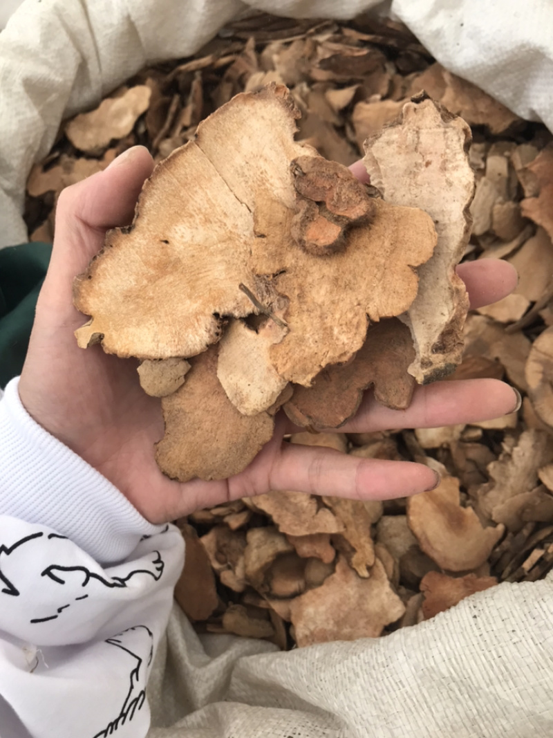 土茯苓土茯苓保庆药业批发土茯苓干片实物拍摄！