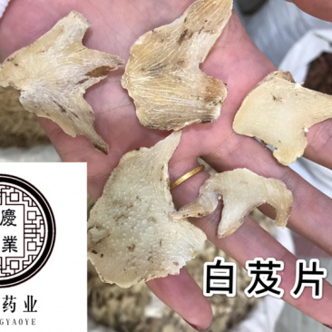 白芨正品白芨个三叉白芨白芨片干货保庆白及