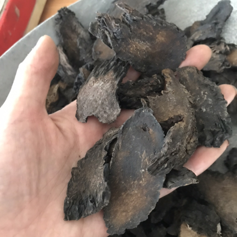 肉纵容肉苁蓉肉大芸软大芸硬大芸肉苁蓉片软肉苁蓉