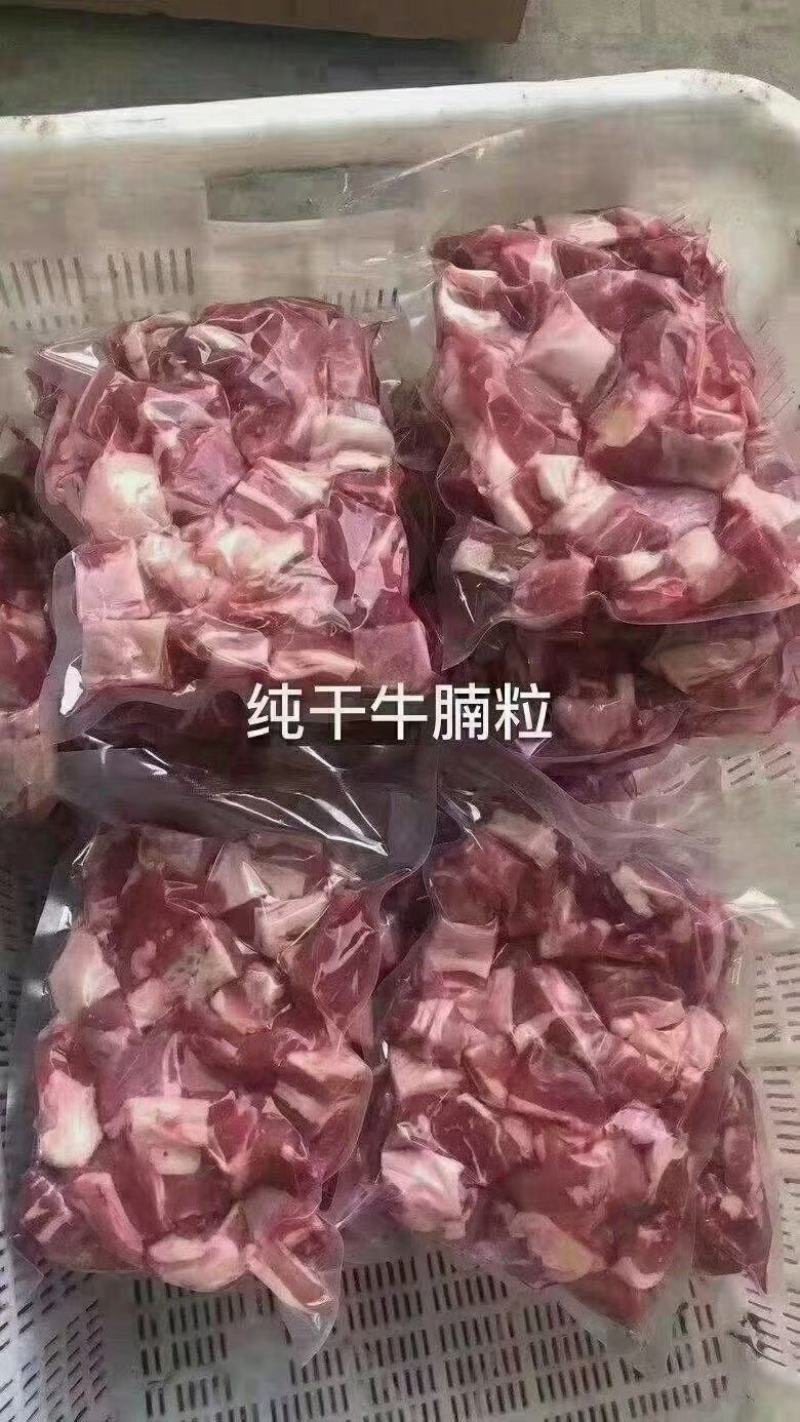 纯干牛腩粒货量大质量保证