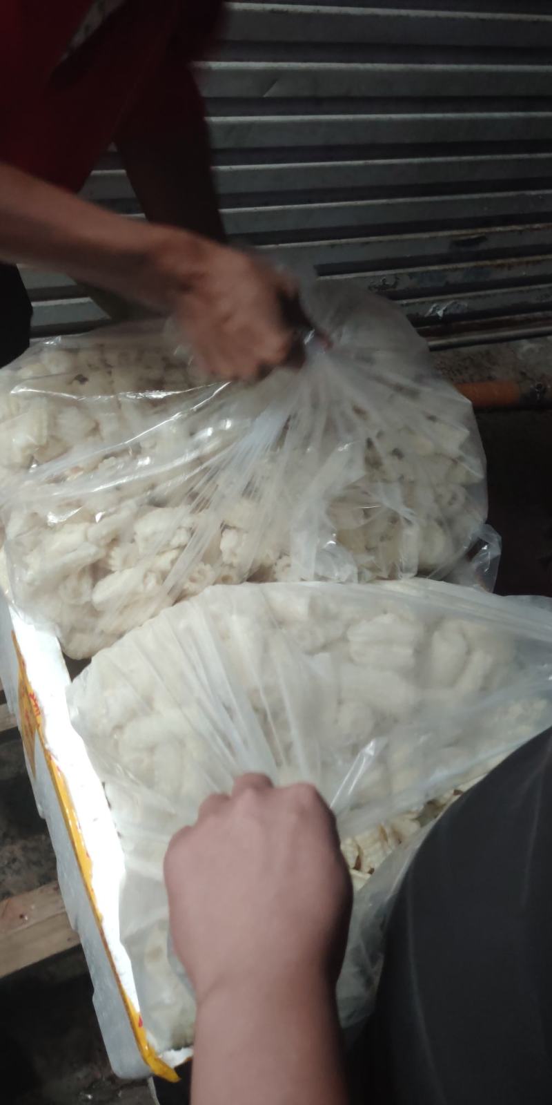 北海鱿鱼花，13一斤，20斤一箱，解冻只需10分钟