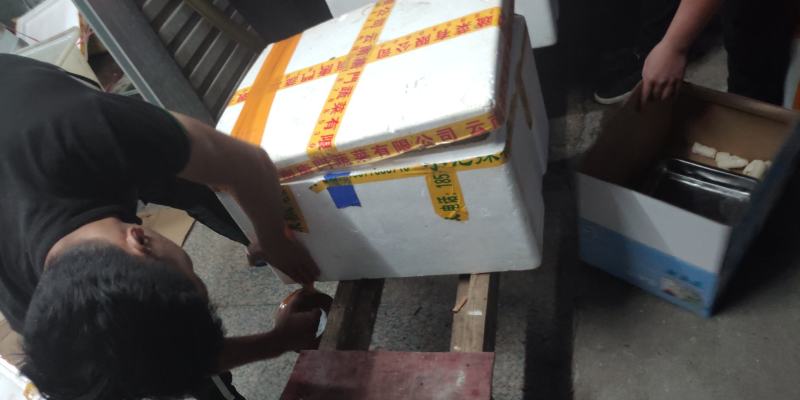 北海鱿鱼花，13一斤，20斤一箱，解冻只需10分钟