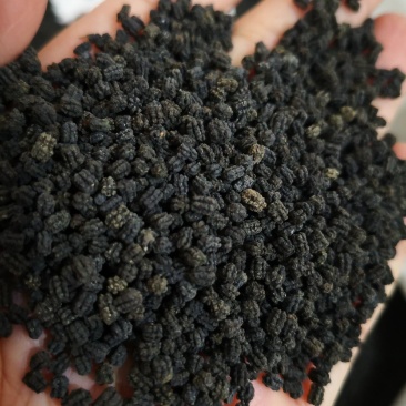 蚕沙干货药用蚕砂量大从优欢迎选购！