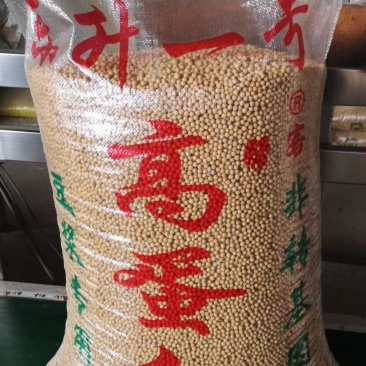 东升1号二芽豆，蛋白42%左右，芽率98以上水分13个