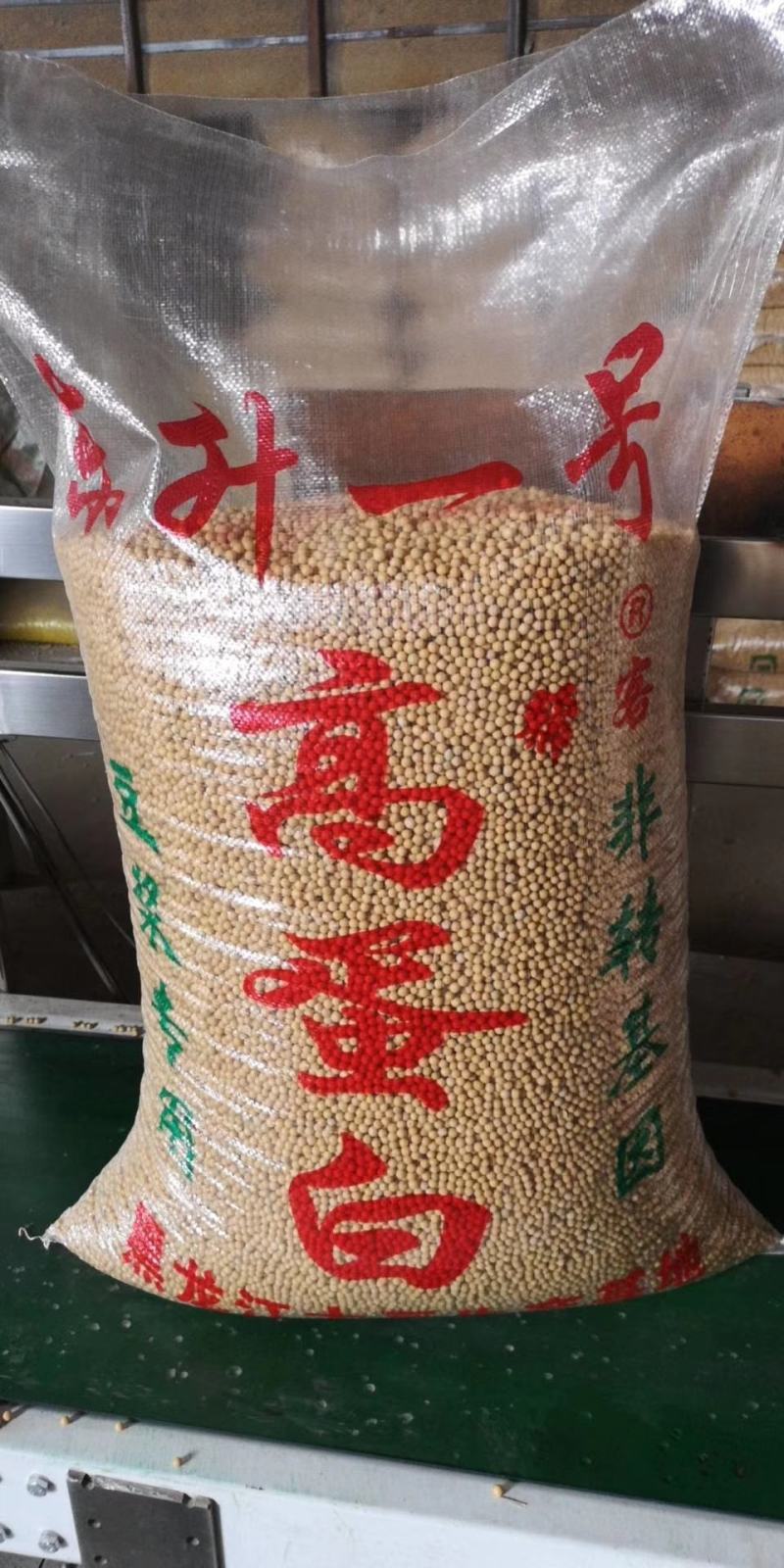 东升1号二芽豆，蛋白42%左右，芽率98以上水分13个