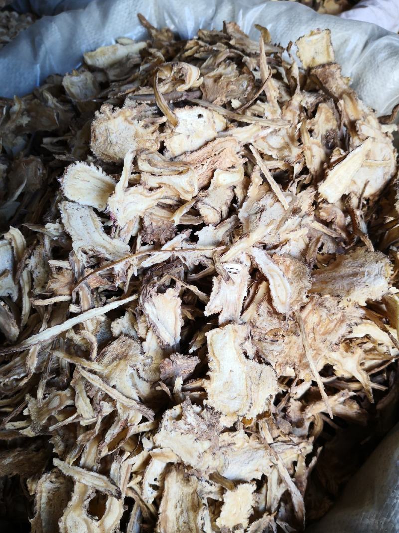 当归全归片头片节子片各种规格欢迎选购！