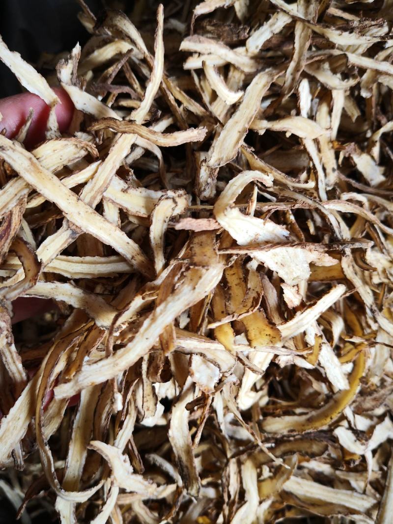 当归全归片头片节子片各种规格欢迎选购！