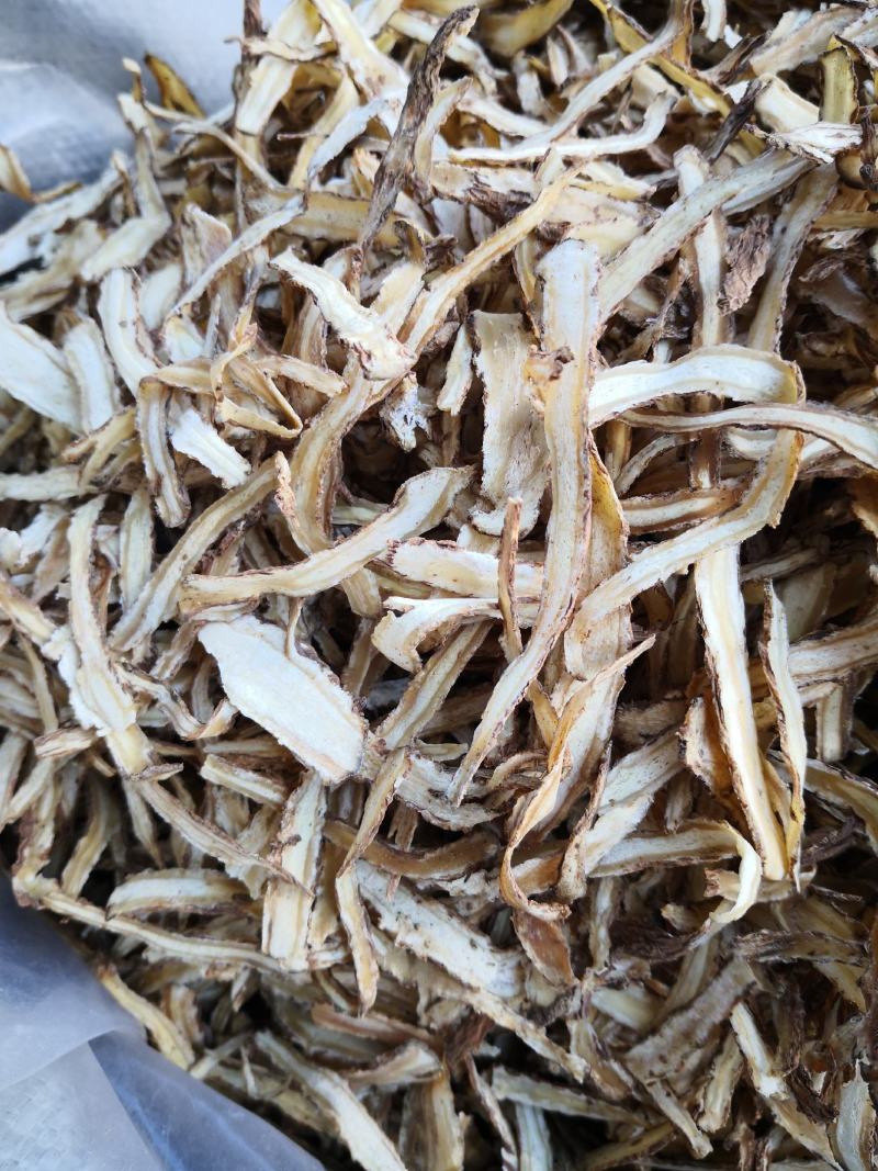 当归全归片头片节子片各种规格欢迎选购！
