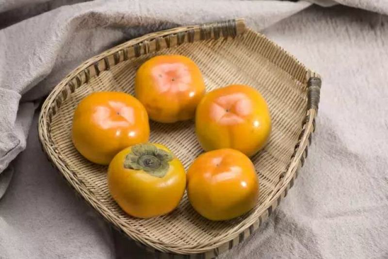 北京平谷脆柿子，可以直接吃，晒柿饼，上等佳品