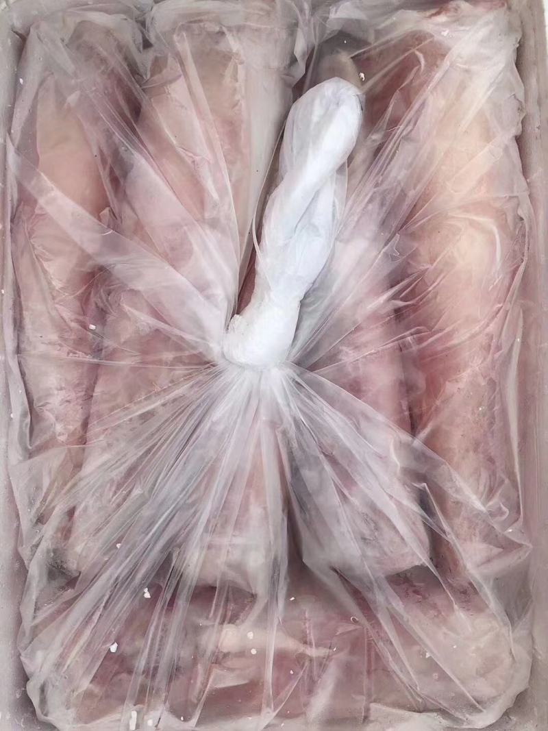 新鲜鳄鱼肉鳄鱼尾鳄鱼掌