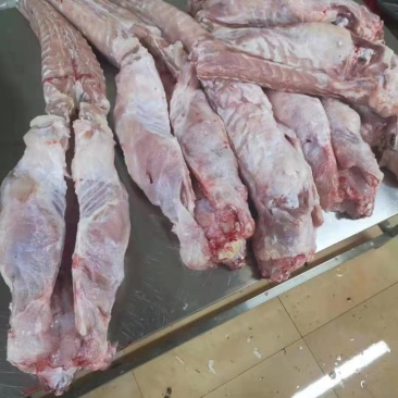 新鲜鳄鱼肉鳄鱼尾鳄鱼掌