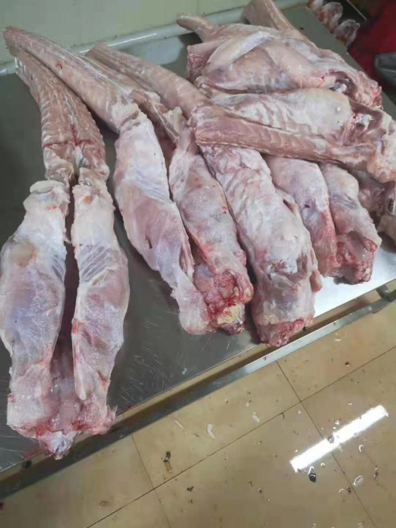 新鲜鳄鱼肉鳄鱼尾鳄鱼掌
