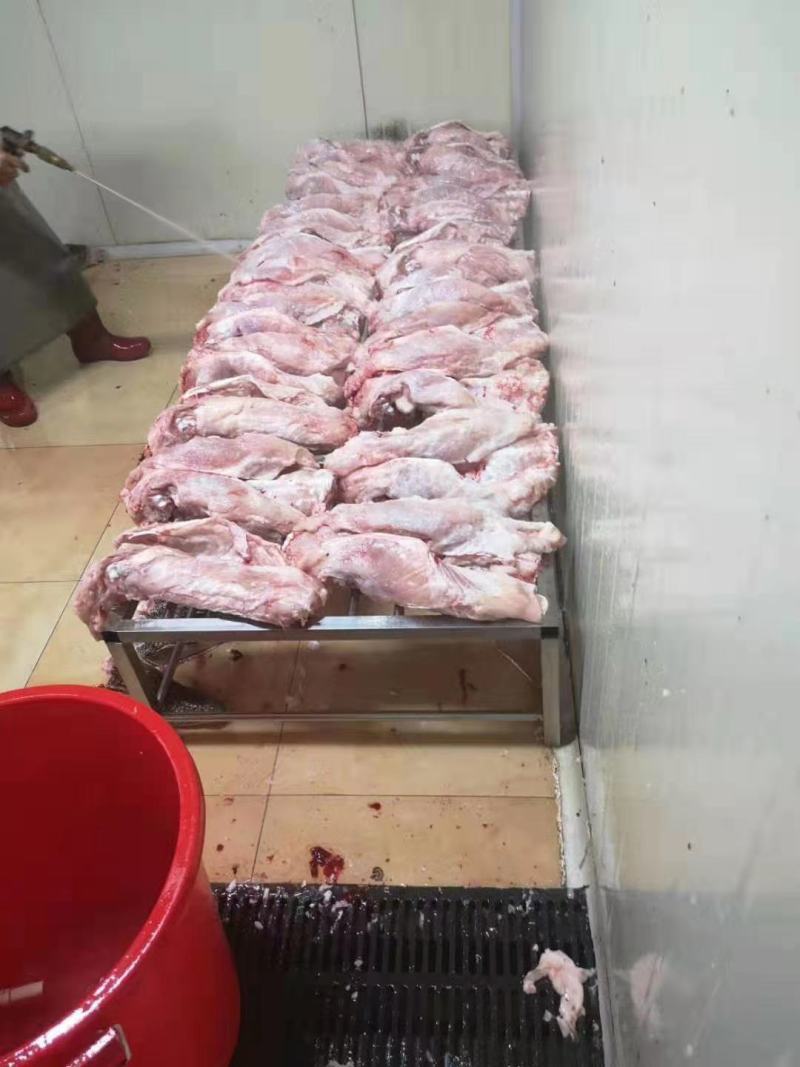 新鲜鳄鱼肉鳄鱼尾鳄鱼掌