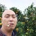 东江湖蜜桔现在大跌价