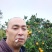 东江湖蜜桔现在大跌价