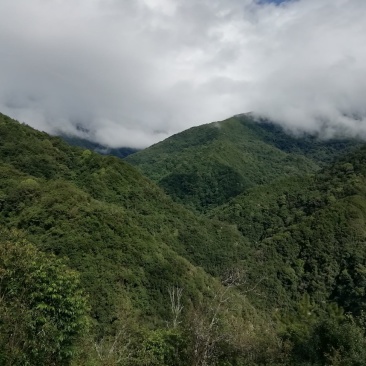 都是来源于大山，但我们从质量做起