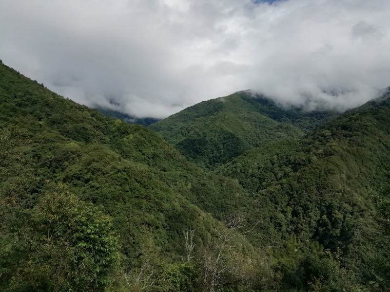 都是来源于大山，但我们从质量做起