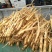 特价甘肃产地白条党参鲜货上市，大量出售。量大从优。