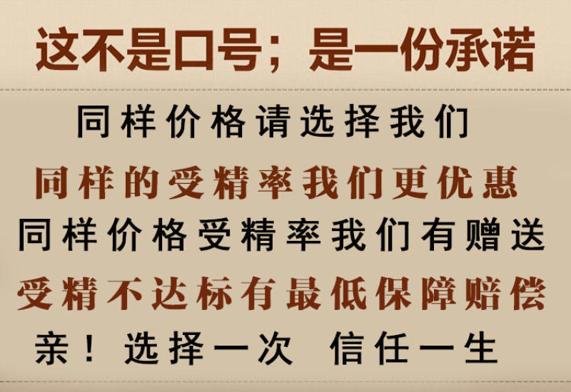 泰和乌鸡大品种乌鸡种蛋受精蛋可孵化小鸡农场直销