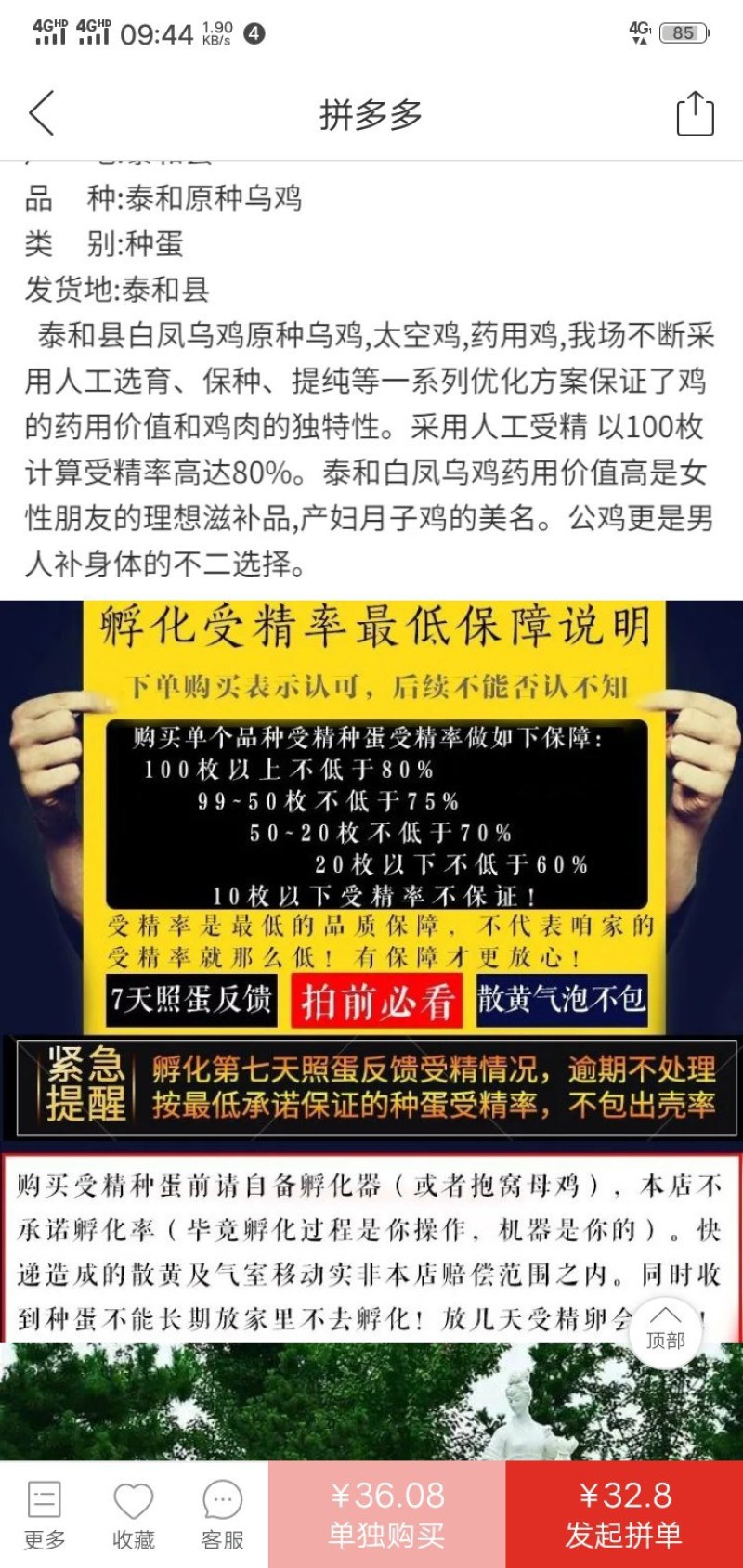 泰和乌鸡大品种乌鸡种蛋受精蛋可孵化小鸡农场直销