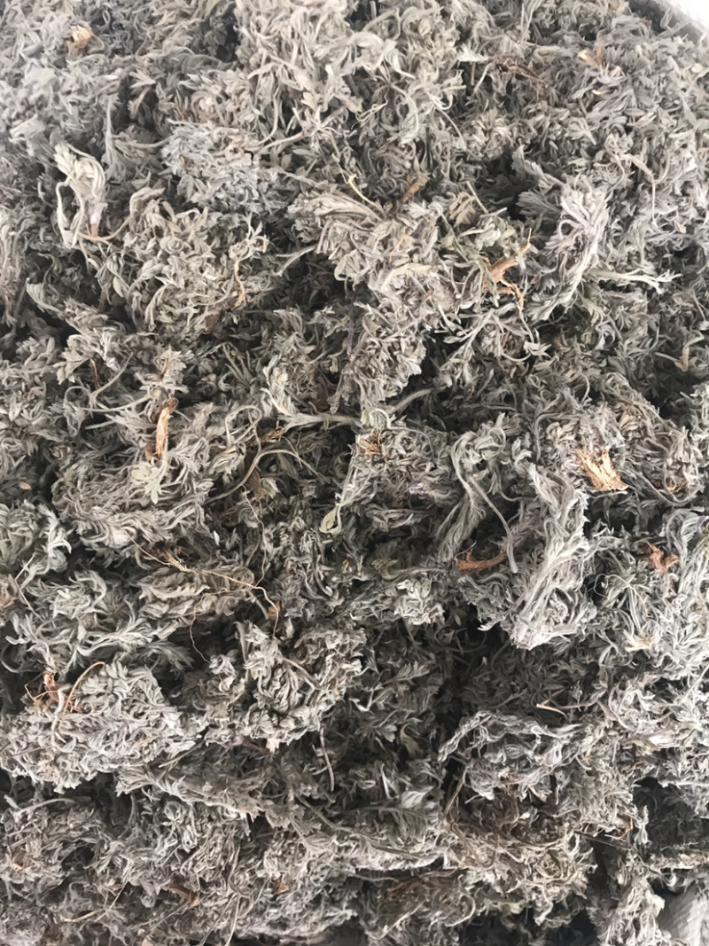 茵陈绵茵陈产地直销支持线上交易量大从优
