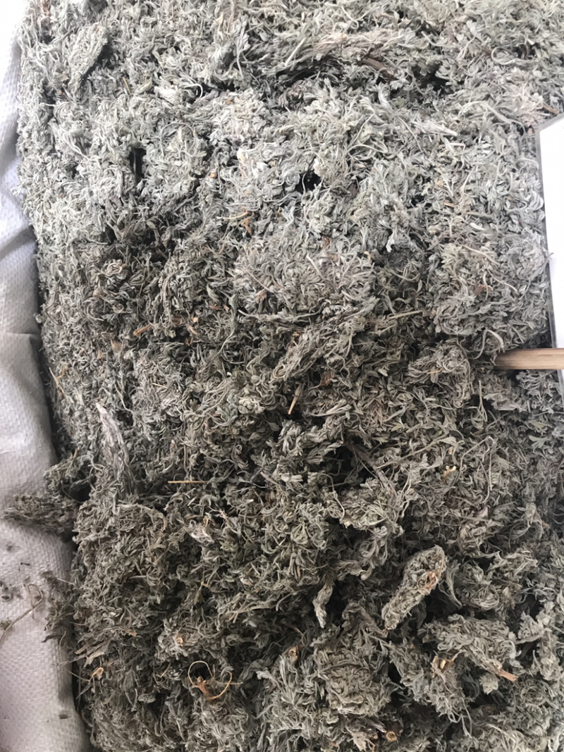 茵陈绵茵陈产地直销支持线上交易量大从优