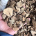 乌药正品乌药产地直销