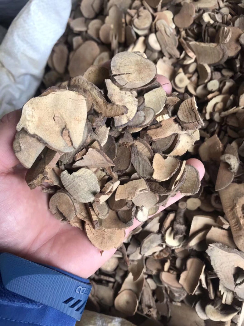 乌药正品乌药产地直销