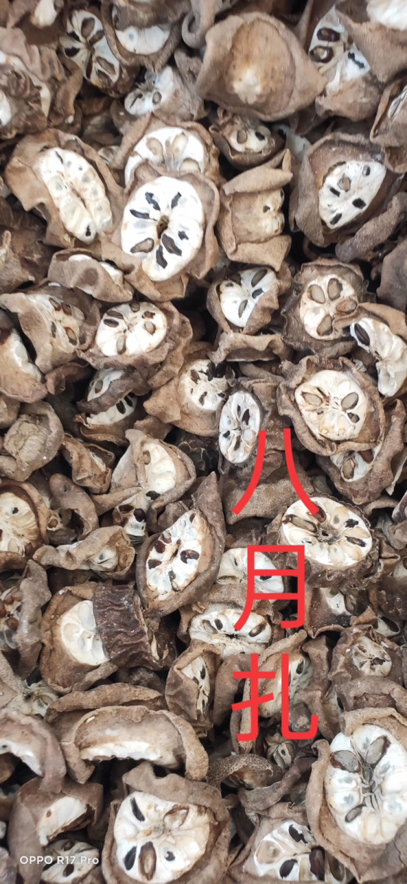 八月瓜片正品八月扎产地直销