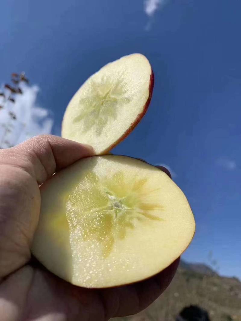 昭通苹果冰糖心丑苹果代办，电商平台供应链一件代发。团购。