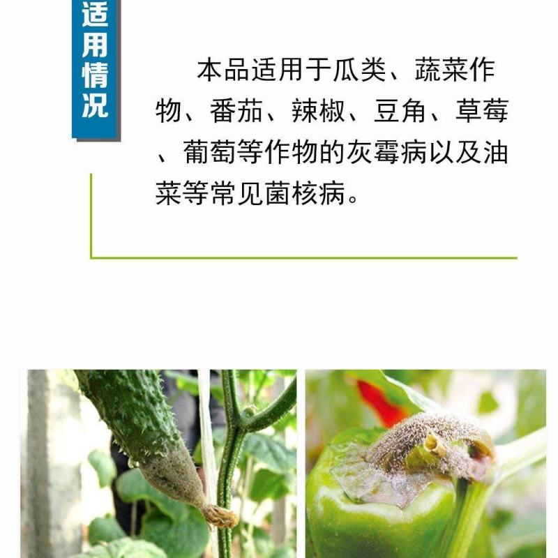 80%嘧霉胺10克嘧霉胺灰霉病菌核病黄瓜番茄草莓专用