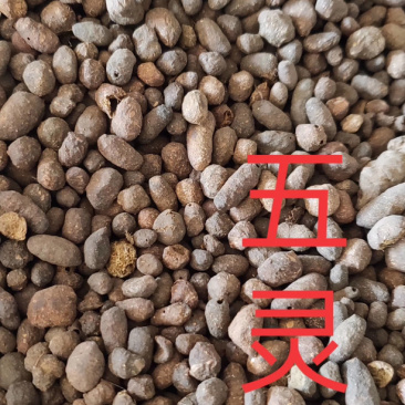 五灵脂正品五灵脂产地直销