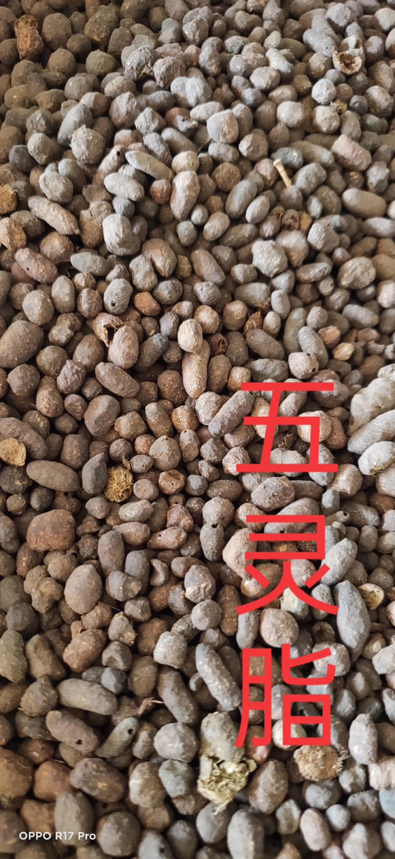 五灵脂正品五灵脂产地直销
