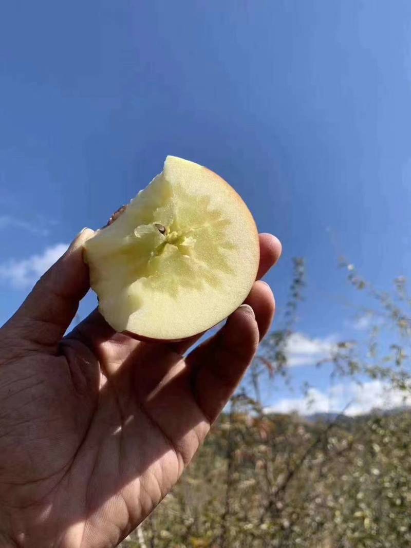 昭通苹果冰糖心丑苹果代办，电商平台供应链一件代发。团购。