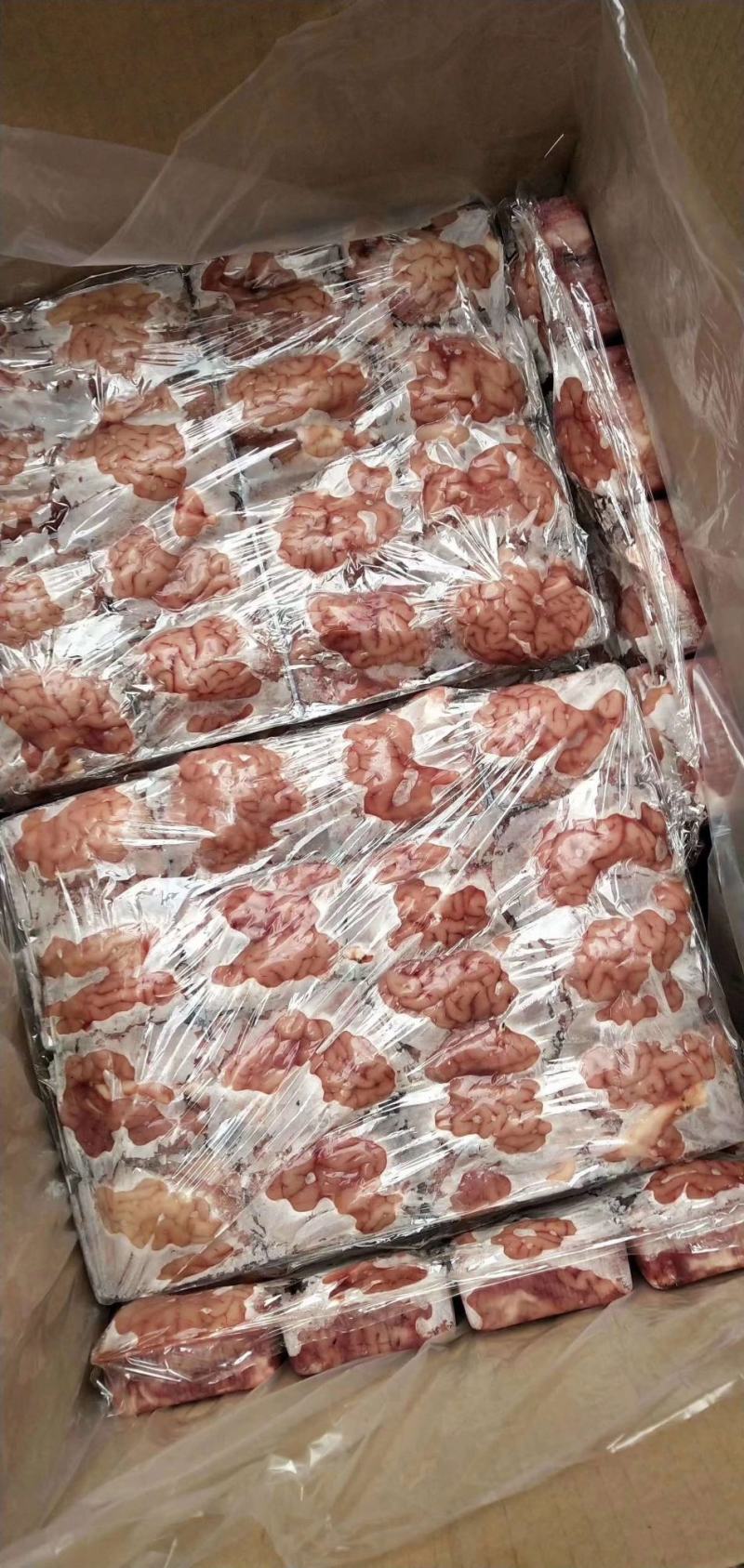 羊杂精品对脑质量上等