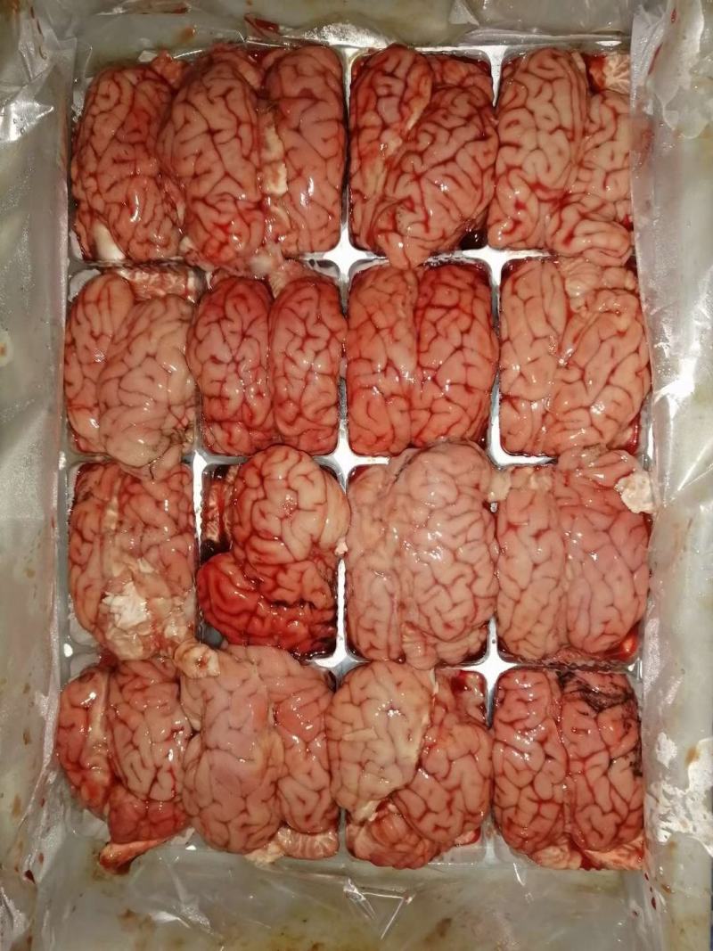 羊杂精品对脑质量上等