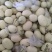 白金蜜清脆爽口二级瓜