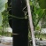 黑皮冬瓜种植基地大量上市