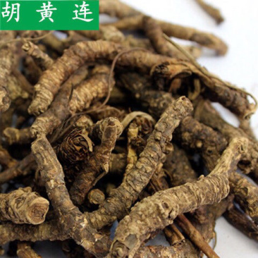 胡黄连精品胡黄连无硫无熏蒸干净无杂质可打粉