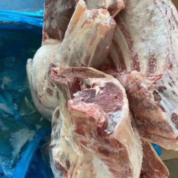 大羊六分体，炖锅，剔肉都合适，欢迎电联系询价