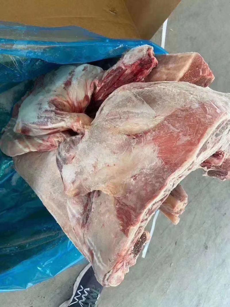大羊六分体，炖锅，剔肉都合适，欢迎电联系询价