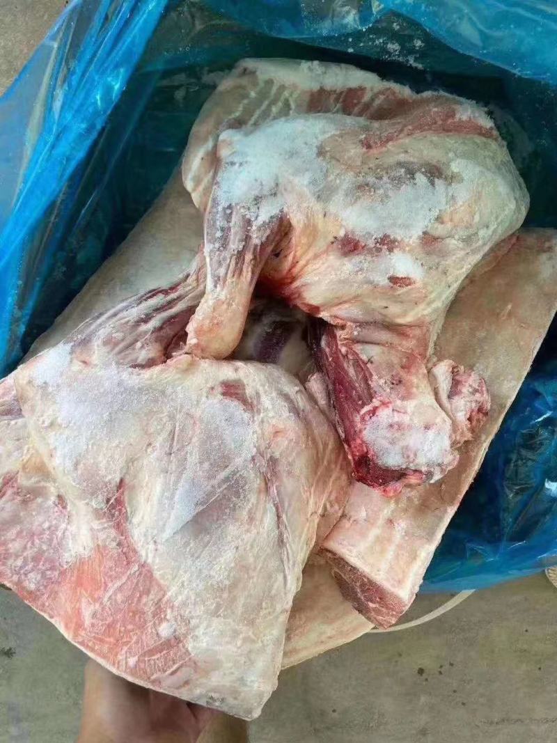 大羊六分体，炖锅，剔肉都合适，欢迎电联系询价