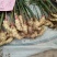 山东临沂鲜姜大量上市了，代存，货源充足产地直销价格便宜