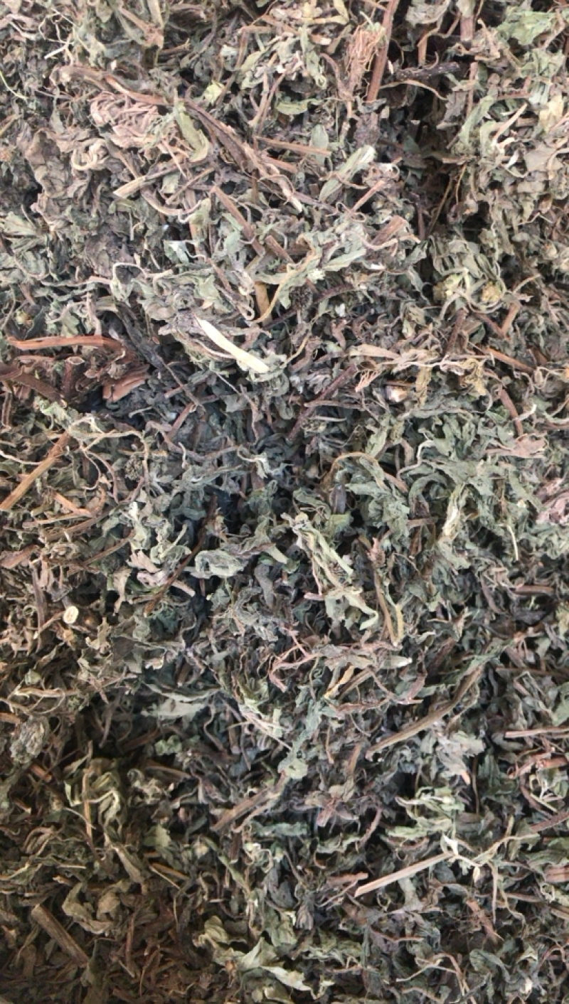 旱莲草墨旱莲产地直销一手货源量大从优