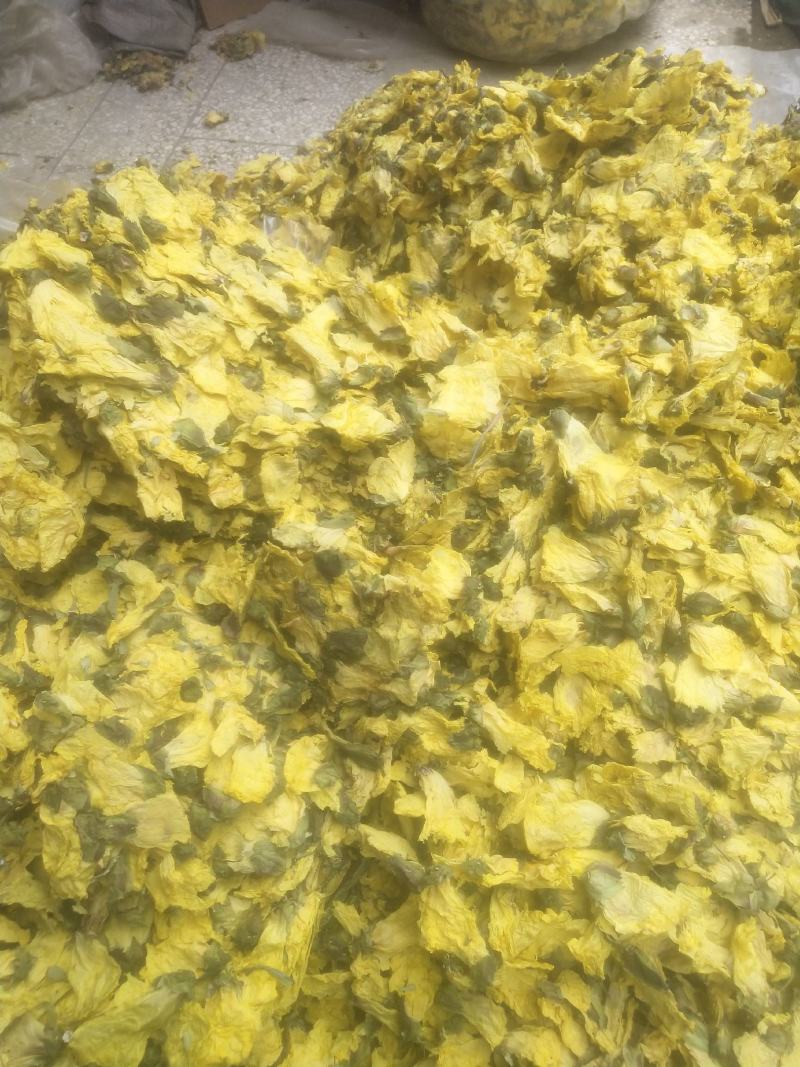 黄蜀葵花长年供应杨庆磊