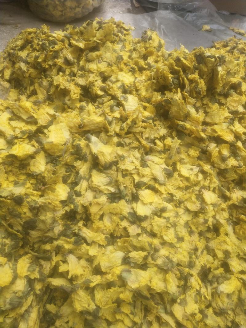 黄蜀葵花长年供应杨庆磊