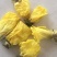 黄蜀葵花长年供应杨庆磊