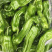 精品蔬菜，叶菜，红椒